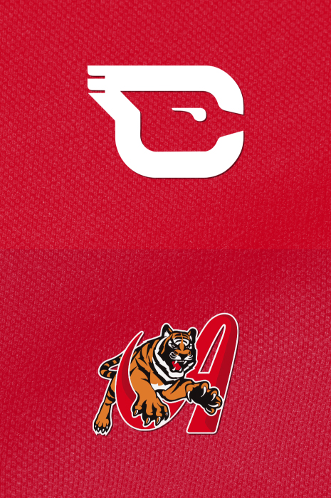 Cardenales vs Tigres </br> 07:00 PM