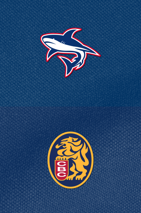 Tiburones vs Leones </br> 07:00 PM