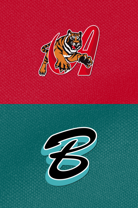 Tigres vs Bravos </br> 07:00 PM