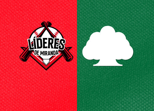 Lideres vs Samanes